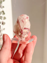 Load image into Gallery viewer, Pink Tourmaline in Quartz
