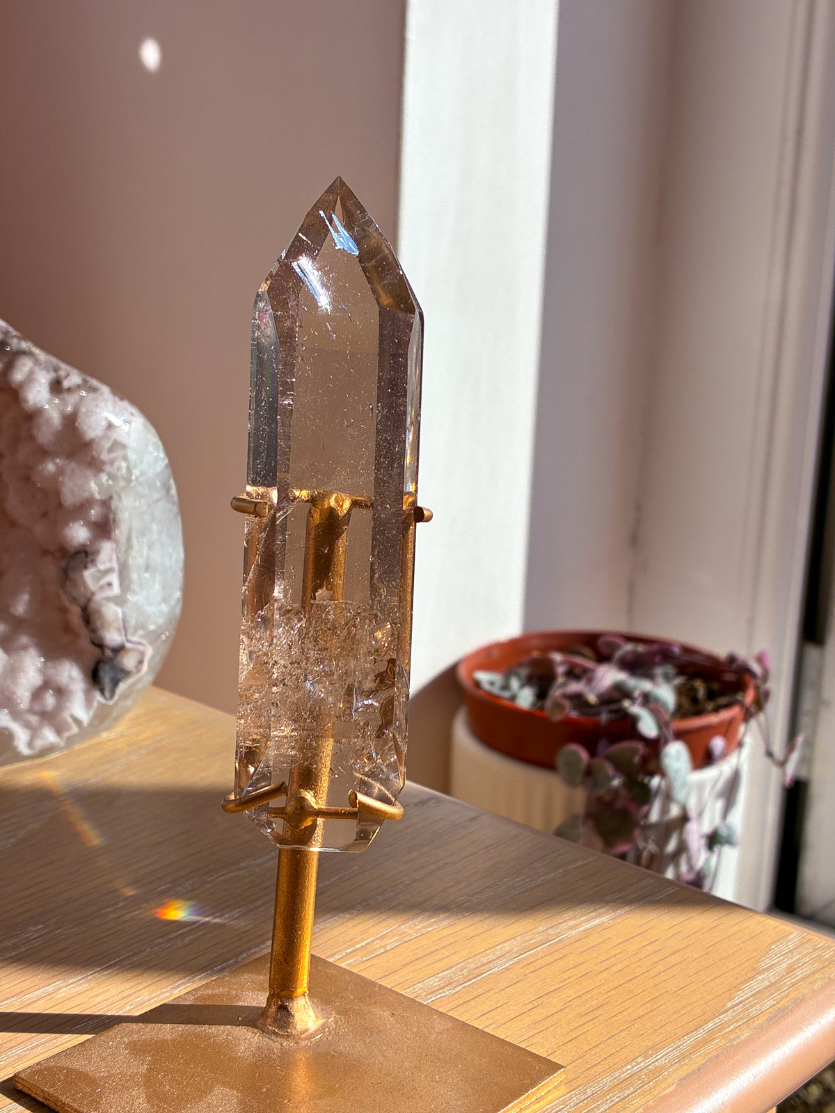 Smokey Lemurian on stand