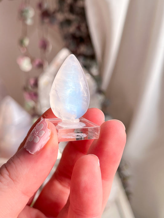 Gem grade moonstone teardrop