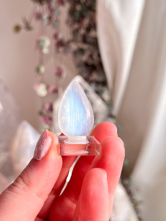 Gem grade moonstone teardrop