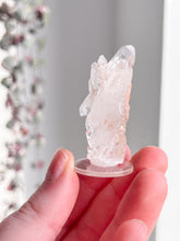 Load image into Gallery viewer, Sacred Pink Lemurian Cluster
