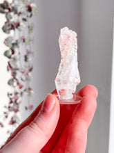 Load image into Gallery viewer, Sacred Pink Lemurian Cluster
