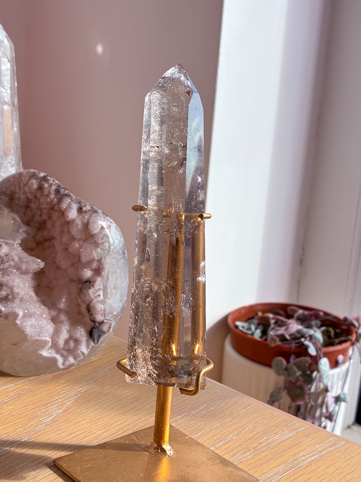 Smokey Lemurian on stand