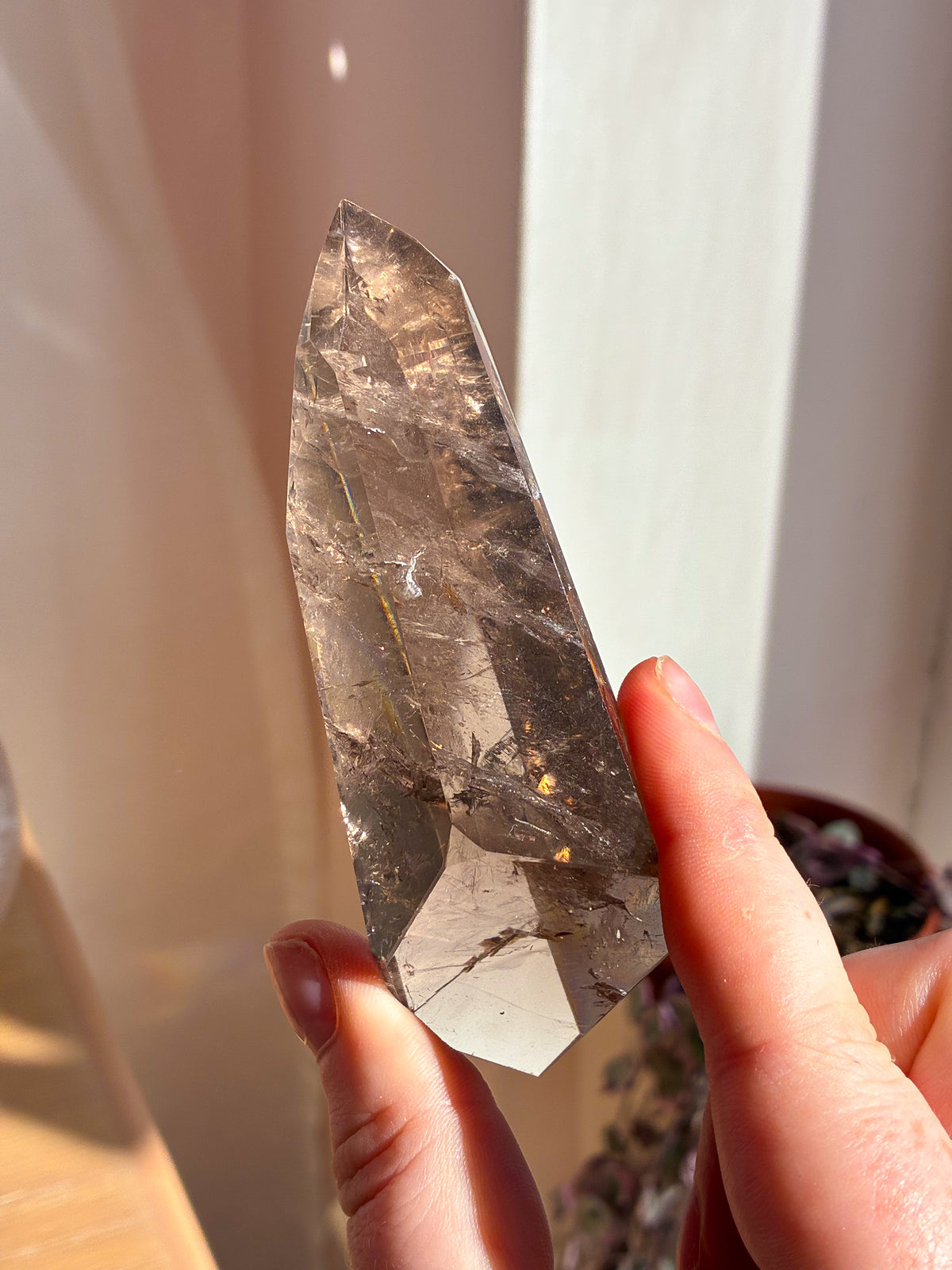 Smokey Lemurian on stand