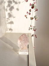 Load image into Gallery viewer, Rare Pink Fluorite
