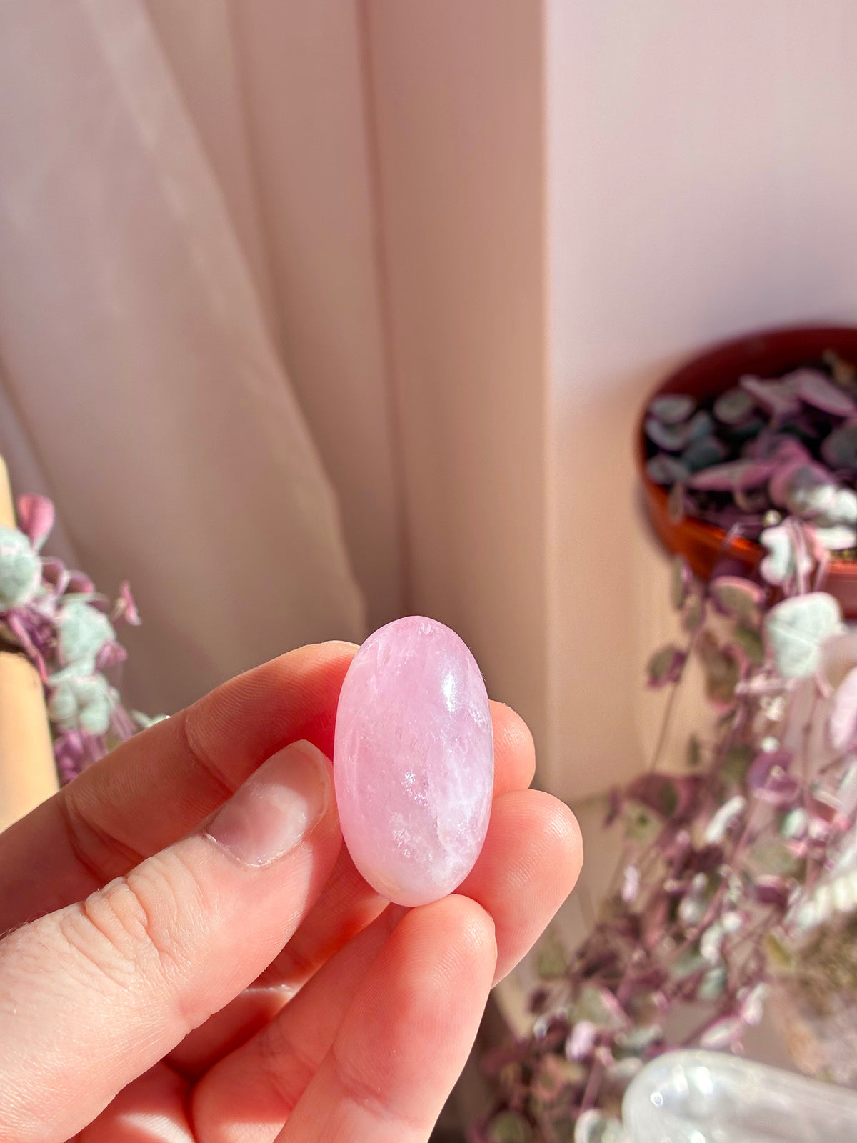 Morganite shiva