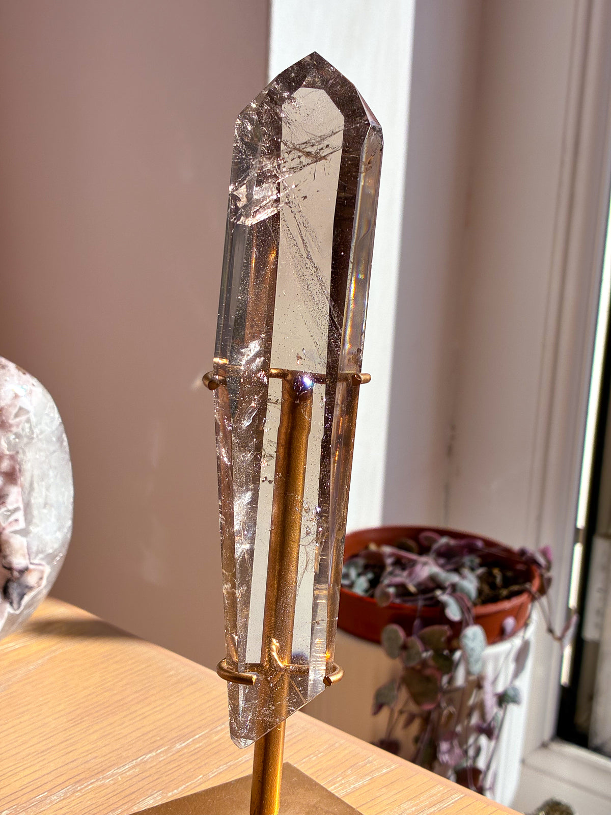 Smokey Lemurian on stand