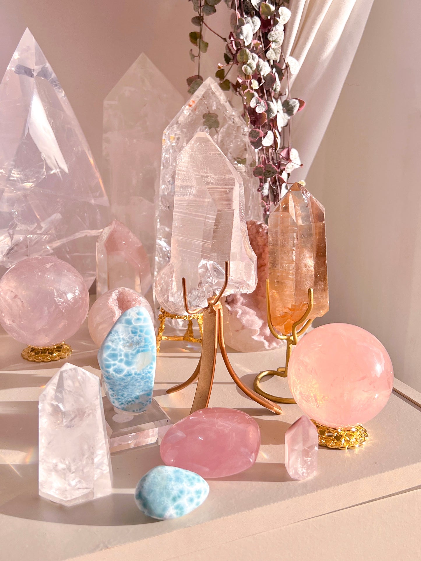 Crystalzoo  - live sale listing 23.11