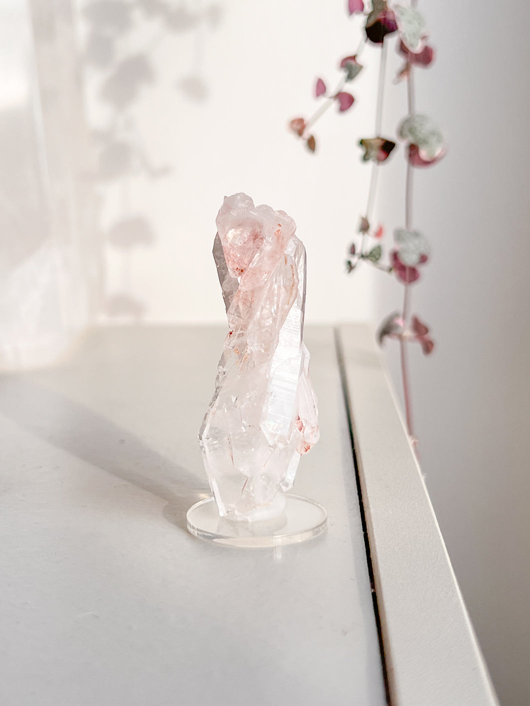 Sacred Pink Lemurian Cluster