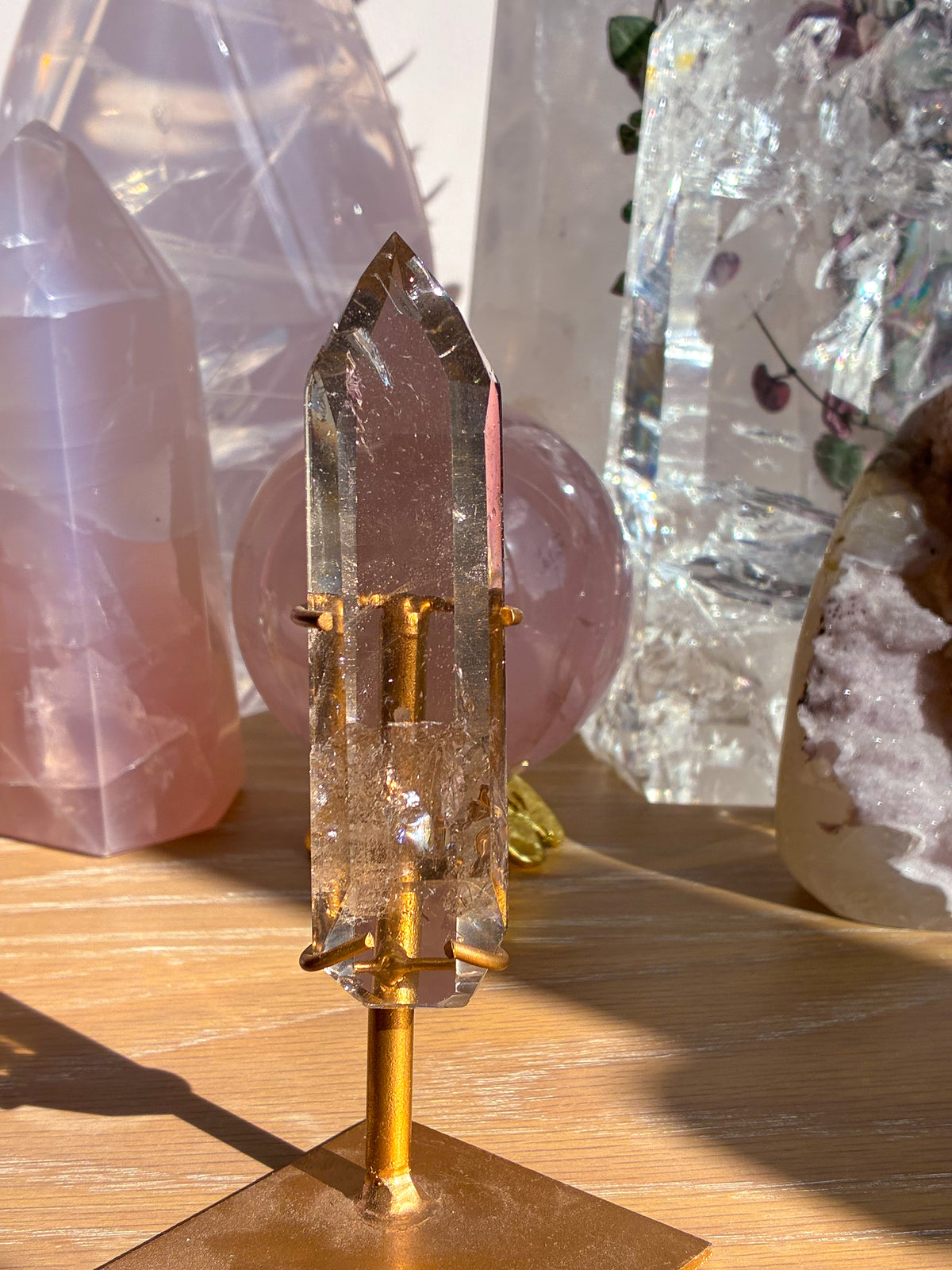 Smokey Lemurian on stand