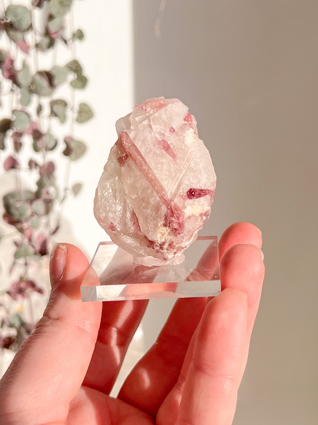 Pink Tourmaline in Quartz