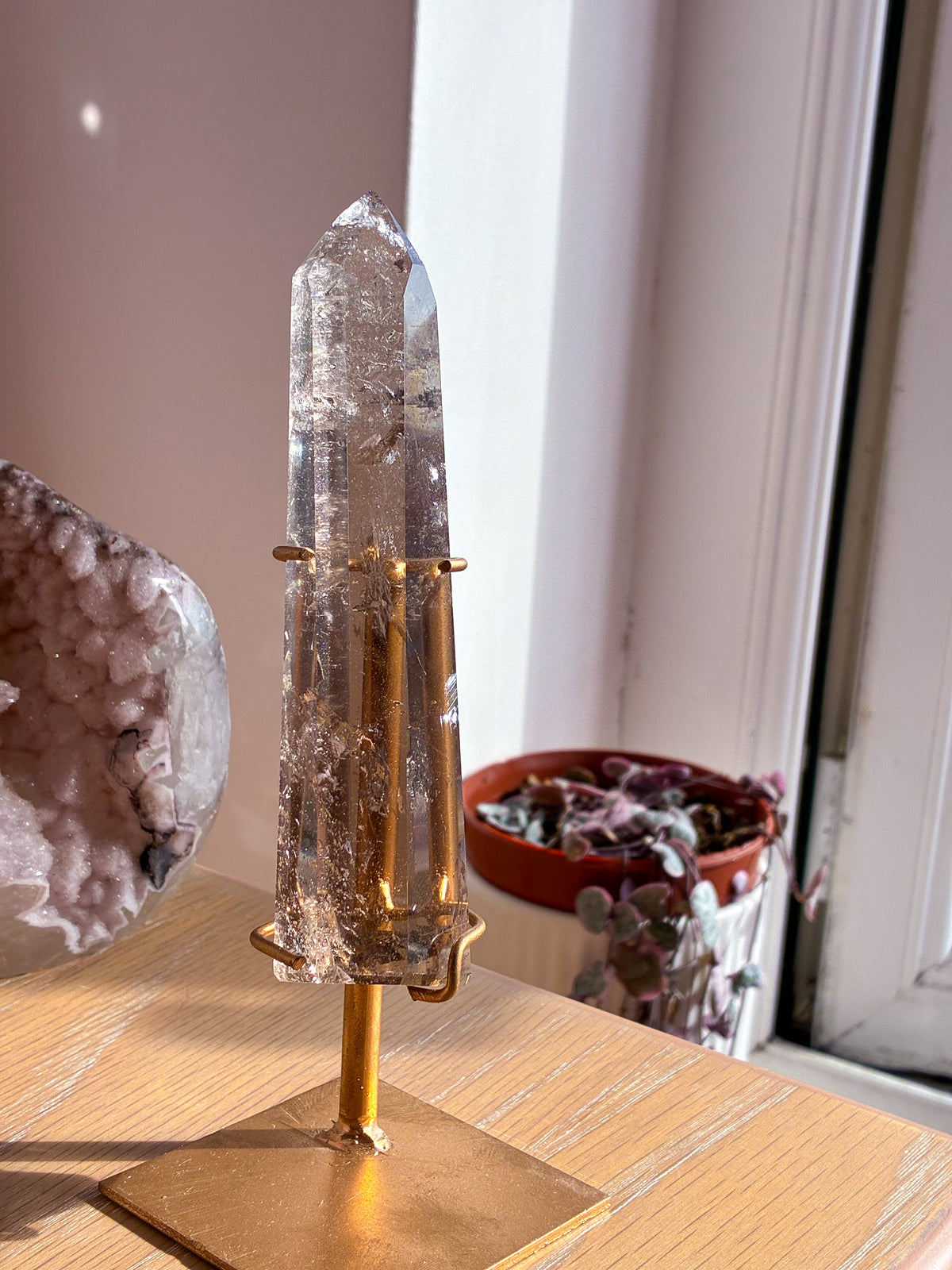 Smokey Lemurian on stand